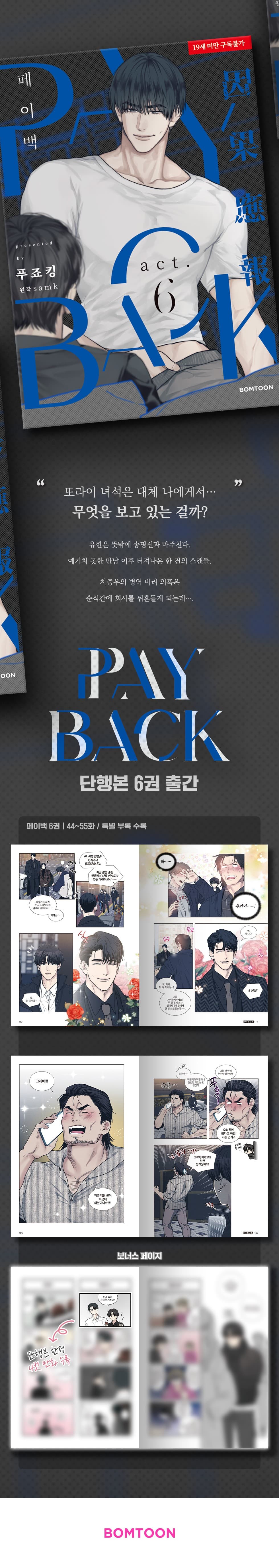 Payback 6 — detail 1